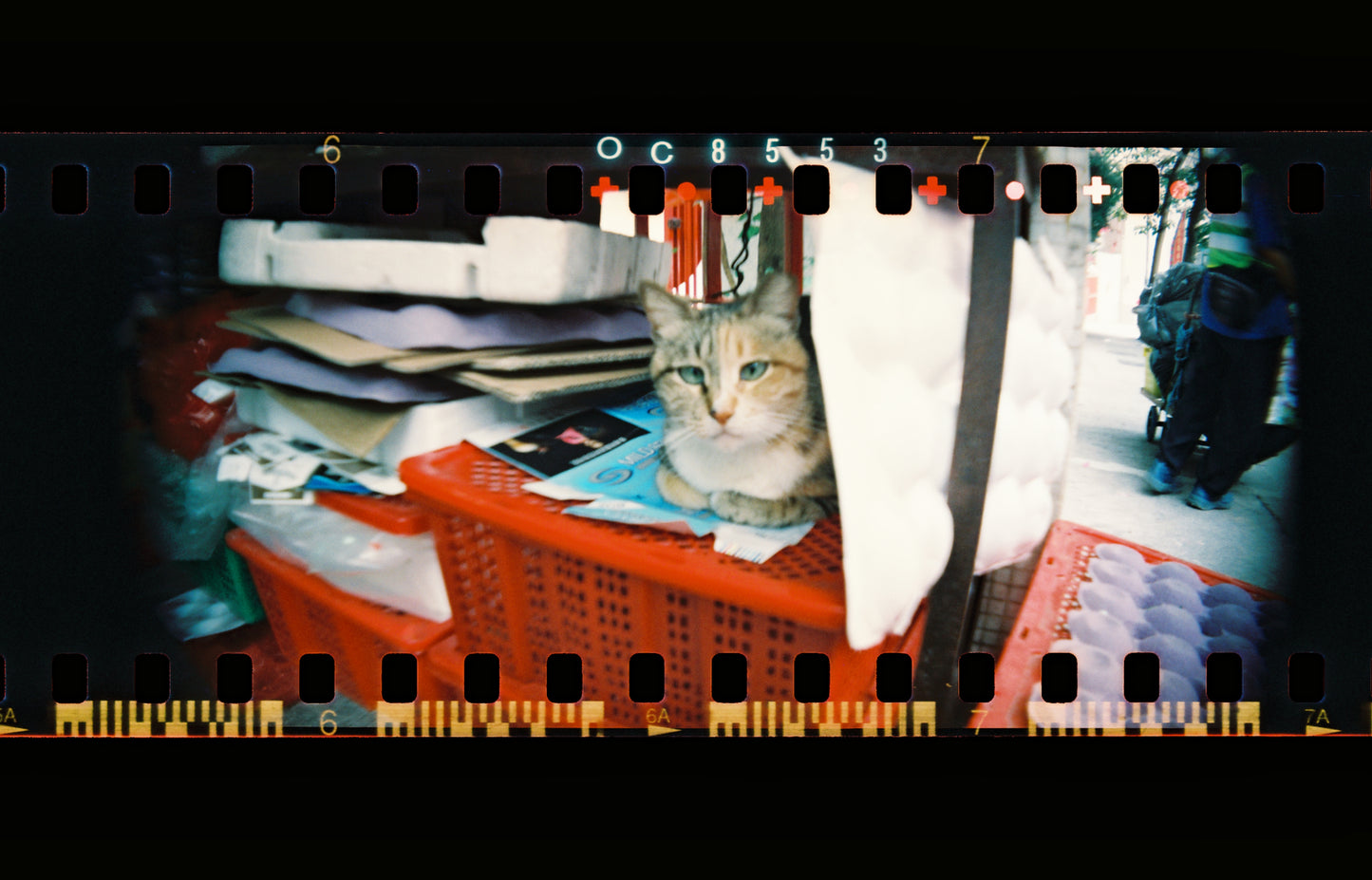 Lomography Sprocket Rocket Camera, Black