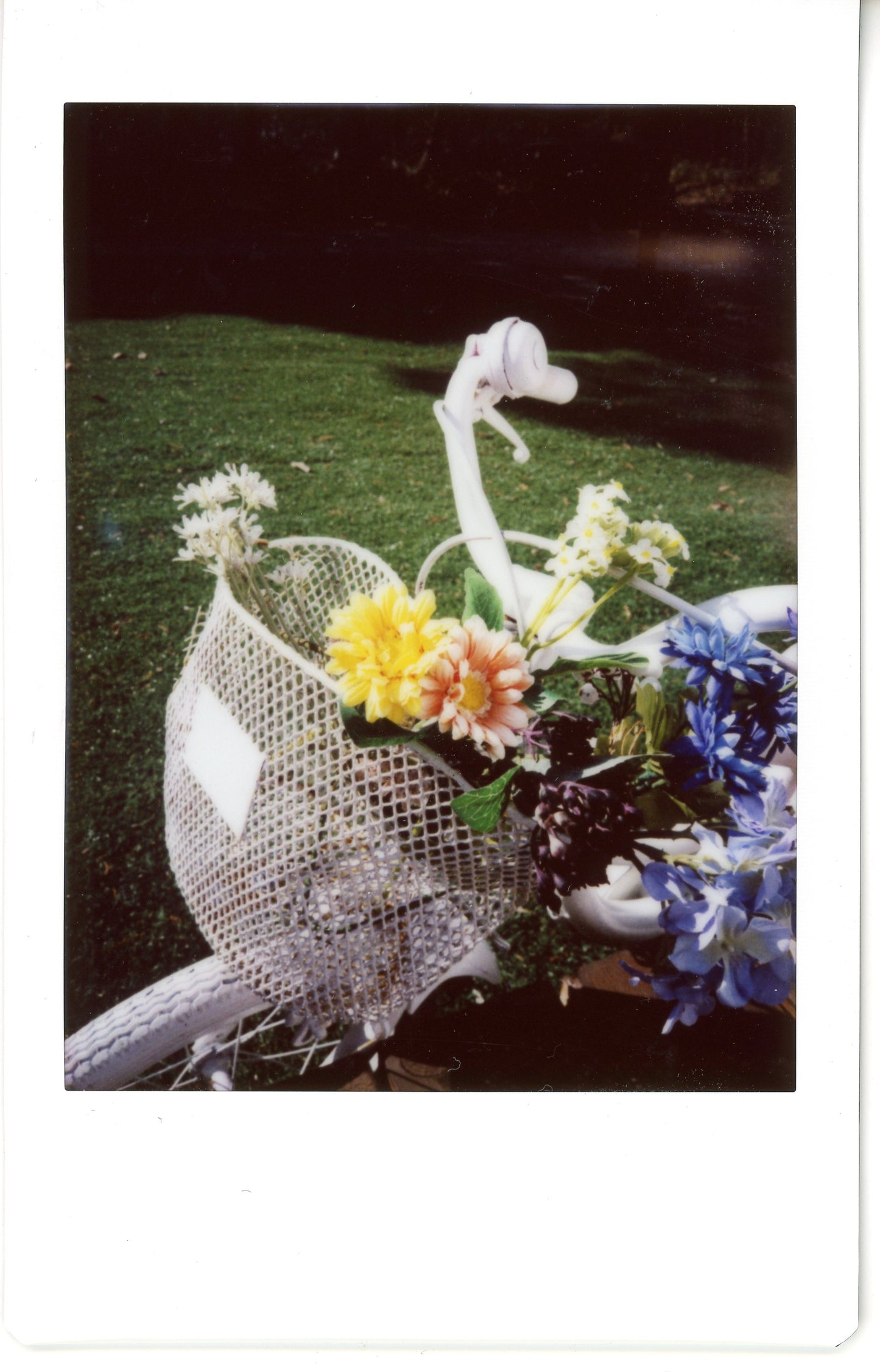 Lomo Instant Automat Glass, Magellan