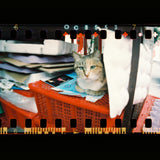 Lomography Sprocket Rocket Camera, Black