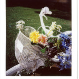 Lomo Instant Automat Glass, Magellan