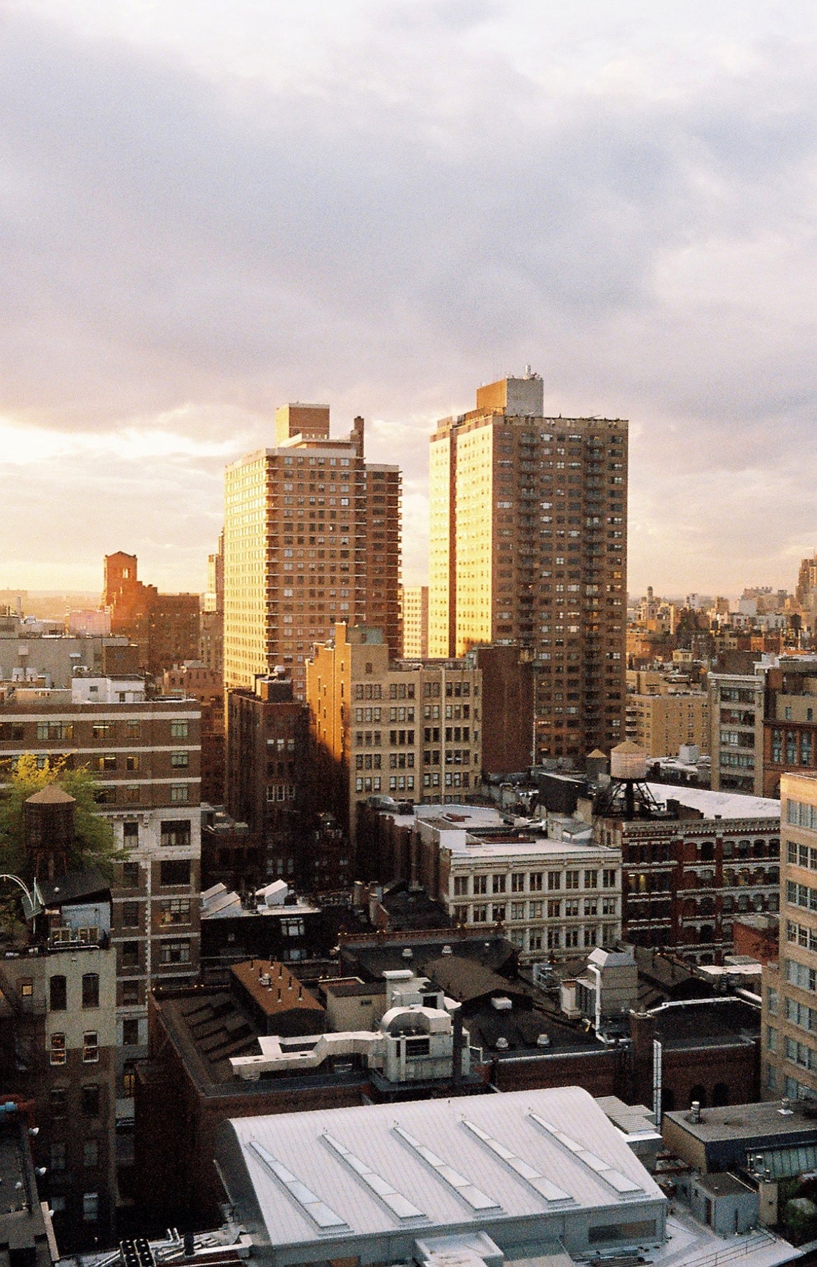 Lomography Color Negative 35 mm ISO 800 – Pack of 3