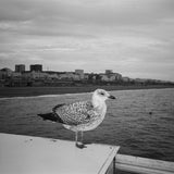 Kodak Snapic A1 35mm Film Camera